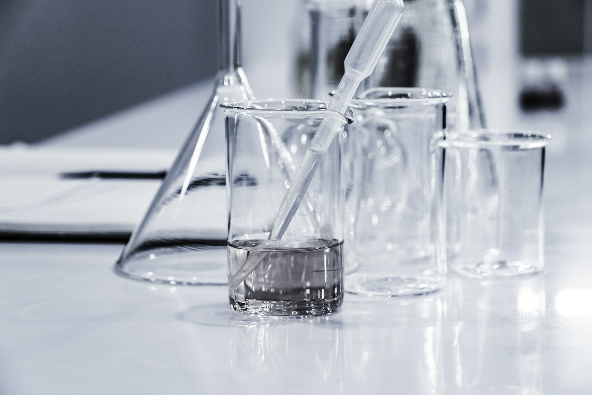 Lab internship