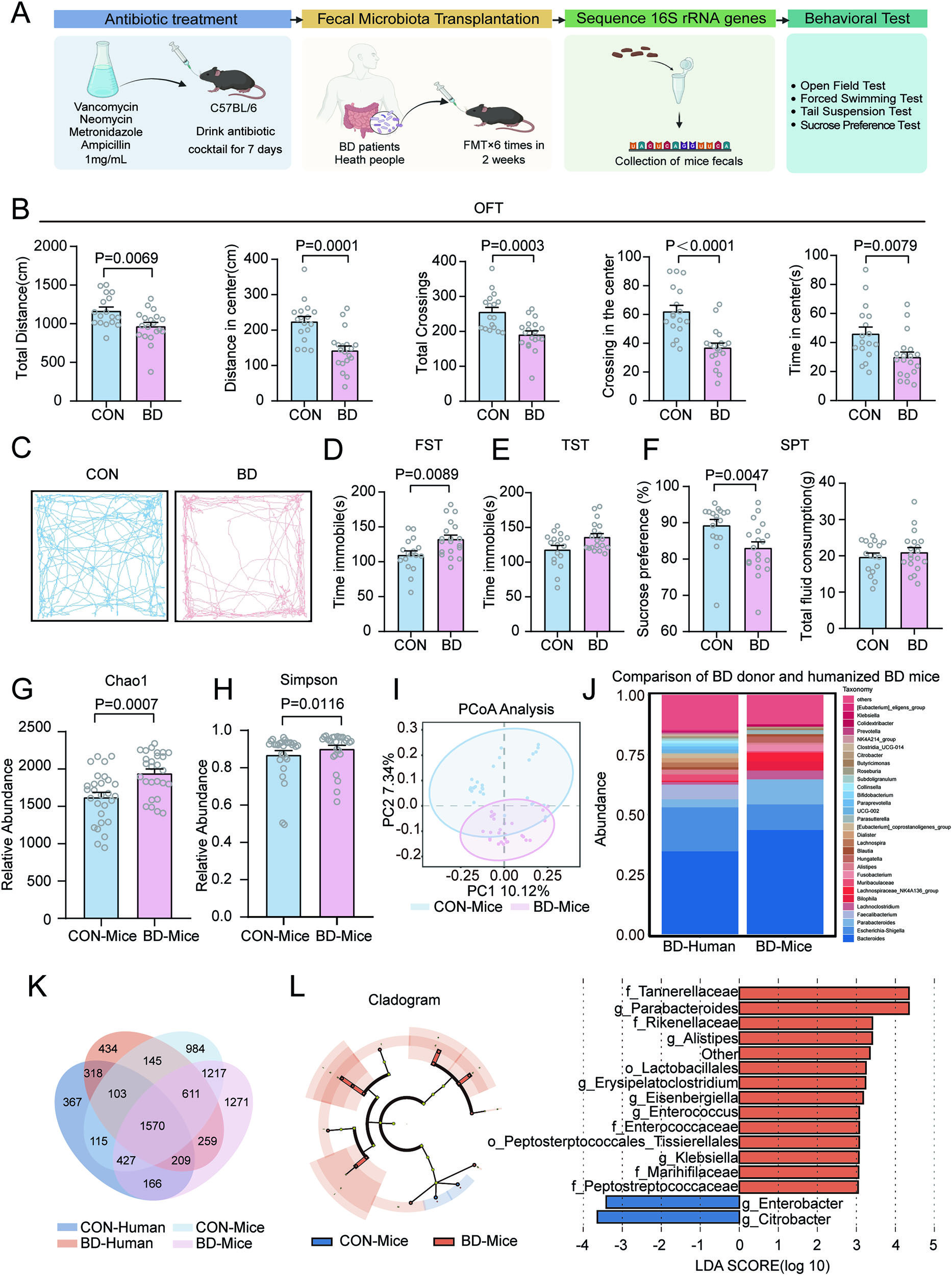 Gut microbiota and bipolar depression